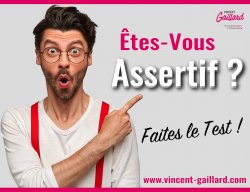 Vignette de Test : &Ecirc;tes-Vous Assertif ?