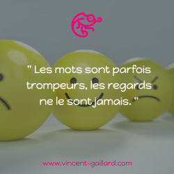 Vignette de " Les mots sont parfois trompeurs, les regards ne le sont jamais "