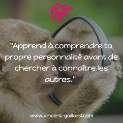Vignette de " Apprend &agrave; comprendre ta propre personnalit&eacute; avant de chercher &agrave; conna&icirc;tre les autres "