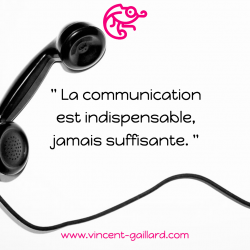 Vignette de " La communication est indispensable, jamais suffisante "