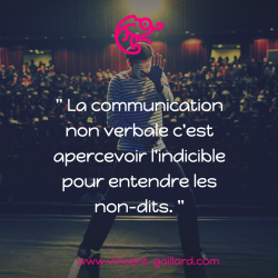 Vignette de " La communication non verbale, c'est apercevoir l'indicible pour entendre les non-dits "